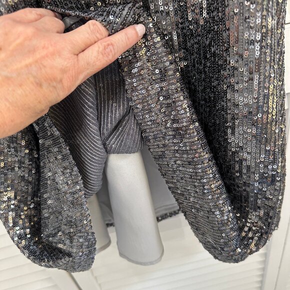 Gorgeous Loft Silver/Grey Sequin Dress – Size Small NWT - Picture 6 of 8